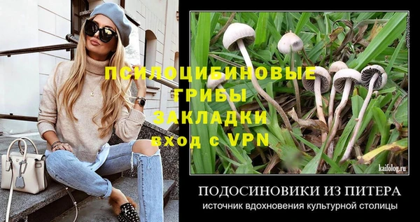 бошки Каменногорск
