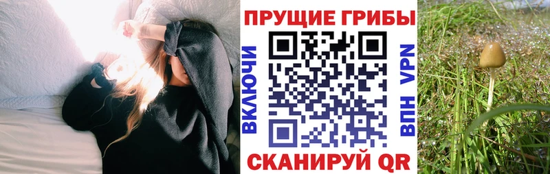 Псилоцибиновые грибы ЛСД  Лобня 
