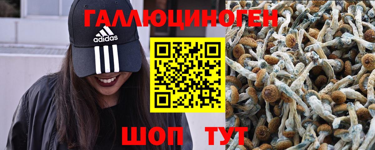 Псилоцибиновые грибы MAGIC MUSHROOMS Лобня