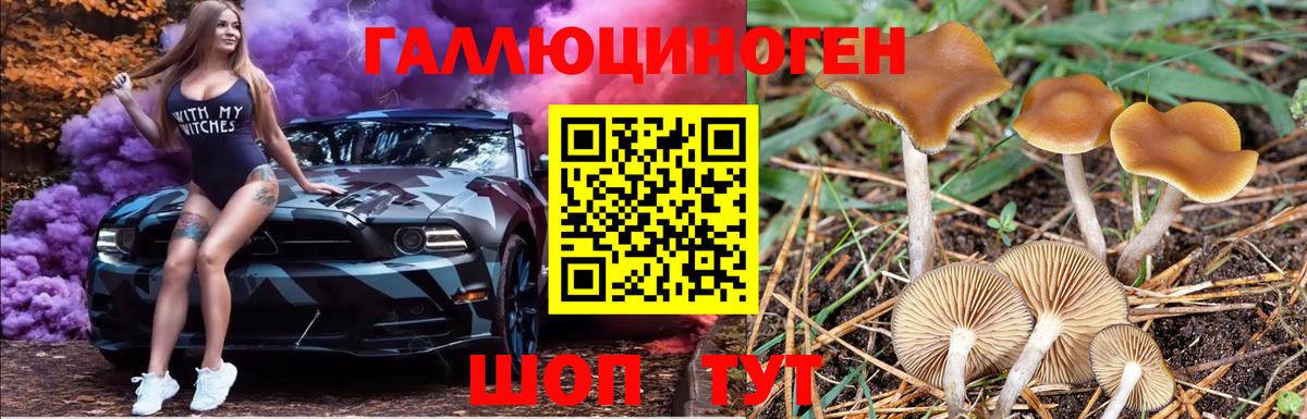 Галлюциногенные грибы Magic Shrooms  где купить наркоту  Лобня  Вход с VPN 